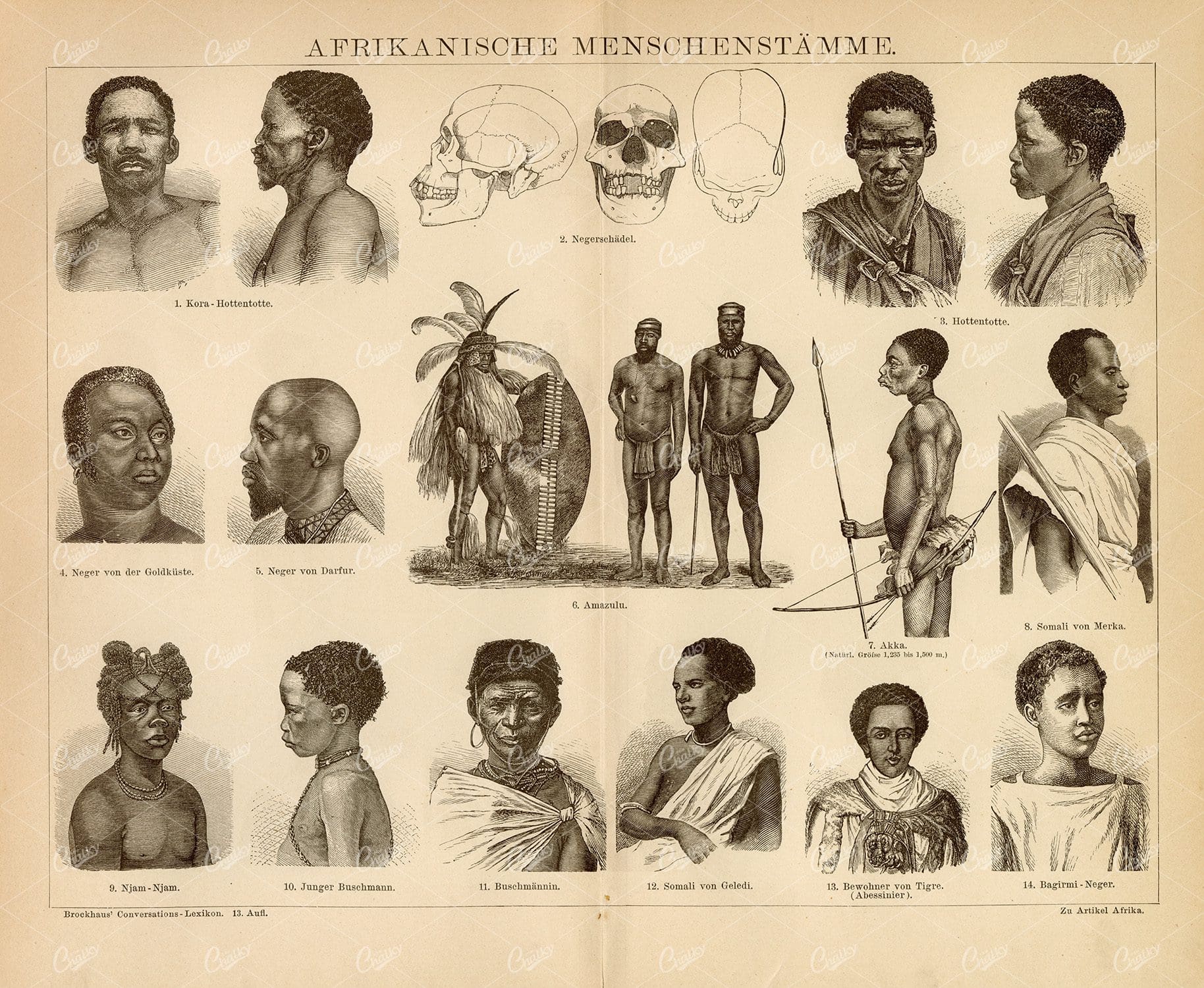 VINTAGE German Encyclopedia Print Showing African People - 1882