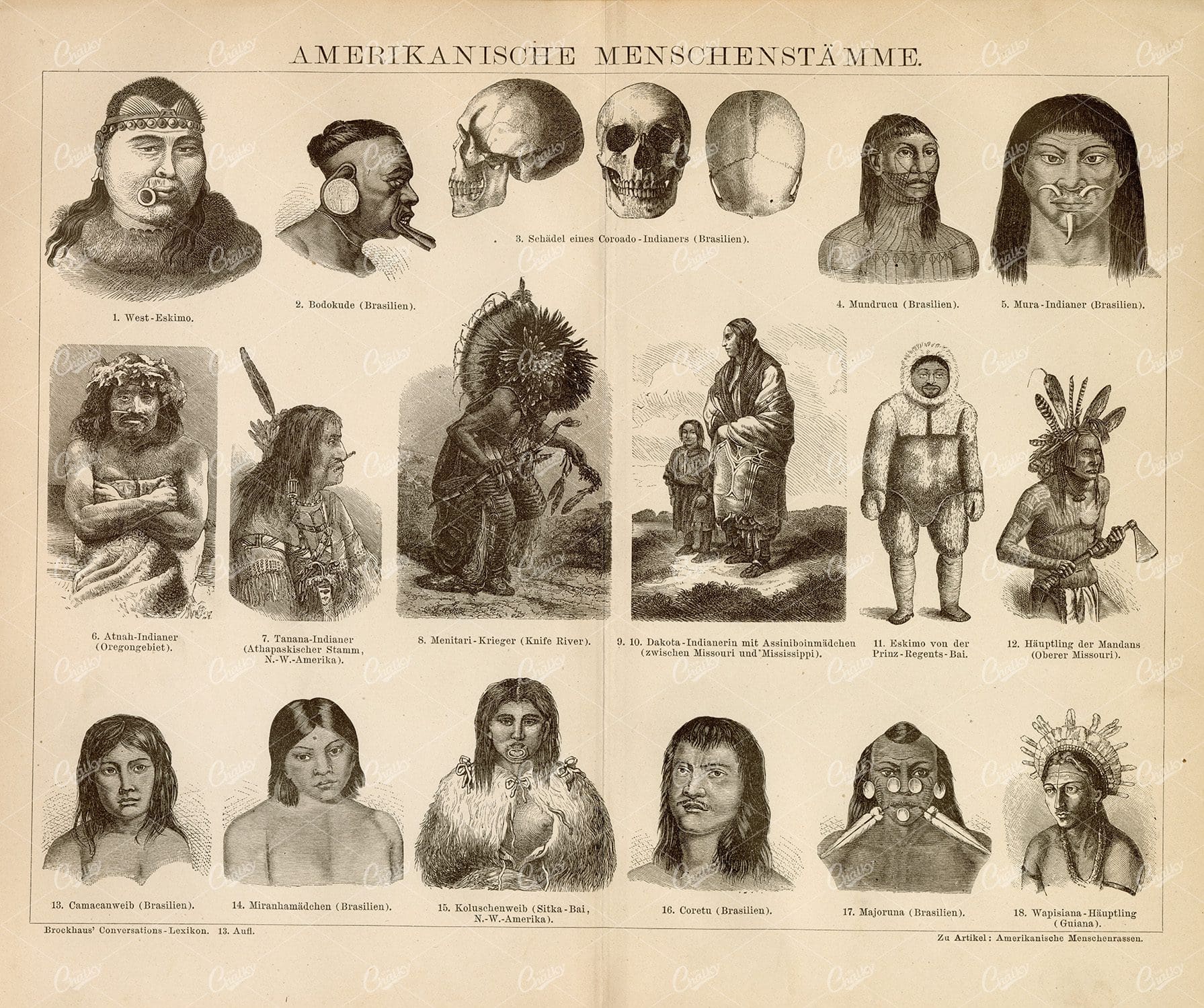 VINTAGE Encyclopedia 1882 Print - American People