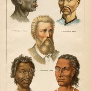 HUMAN Races Vintage 1882 Encyclopedia Print