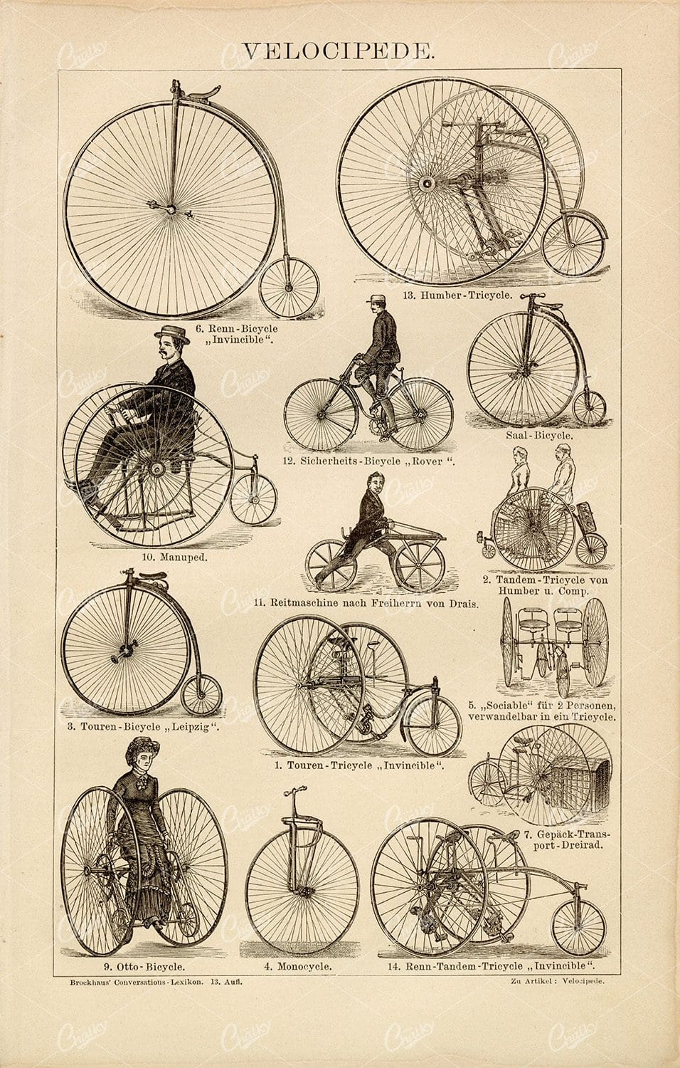 BICYCLES Vintage Print 1882 - Racing Bicycle, Tandem, Touring Tricycle