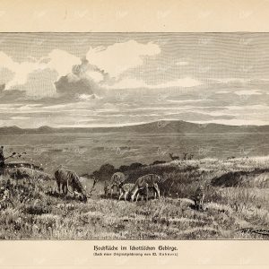ANTIQUE Print 1877 - Mountain Plateau - Vintage German Print