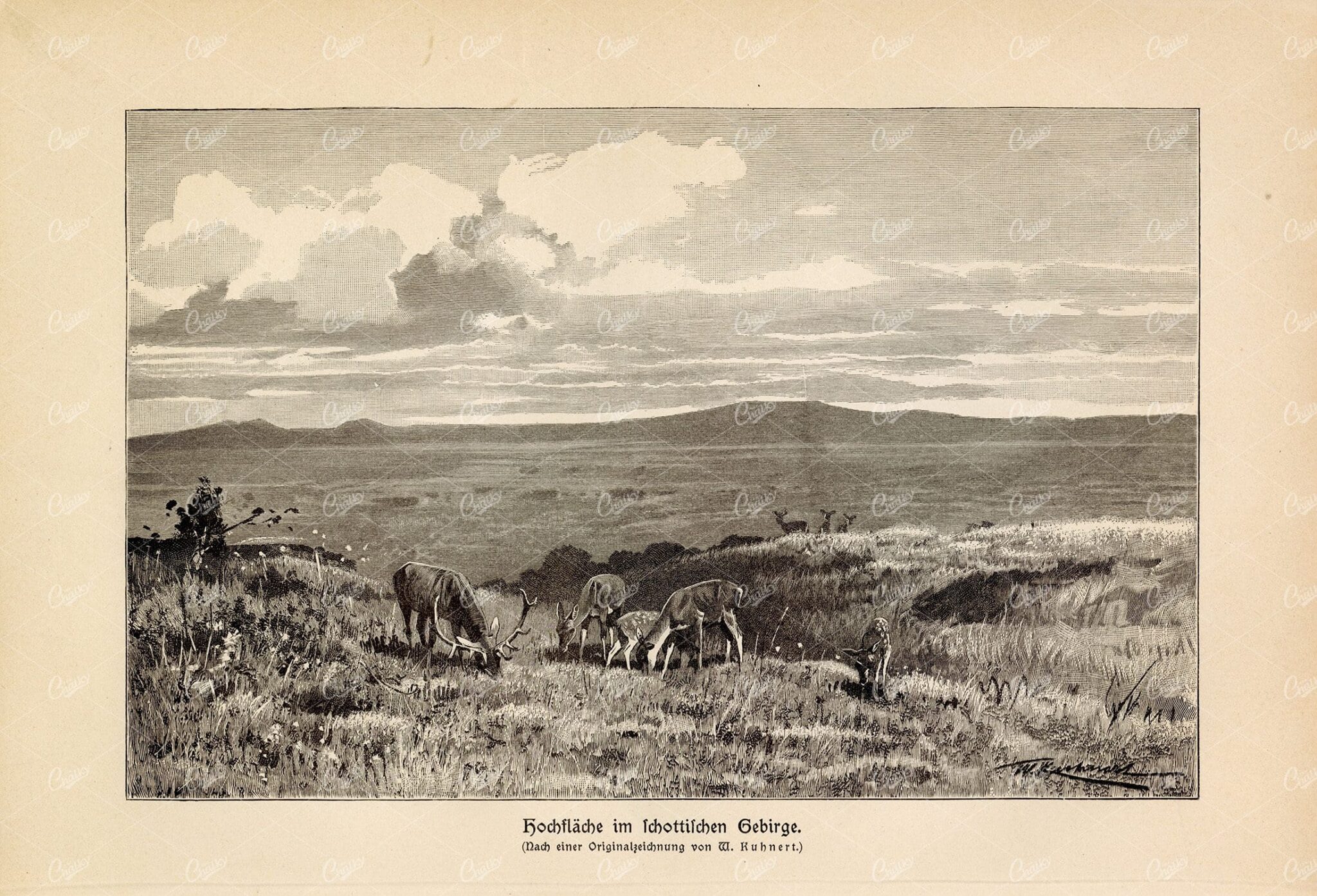 ANTIQUE Print 1877 - Mountain Plateau - Vintage German Print