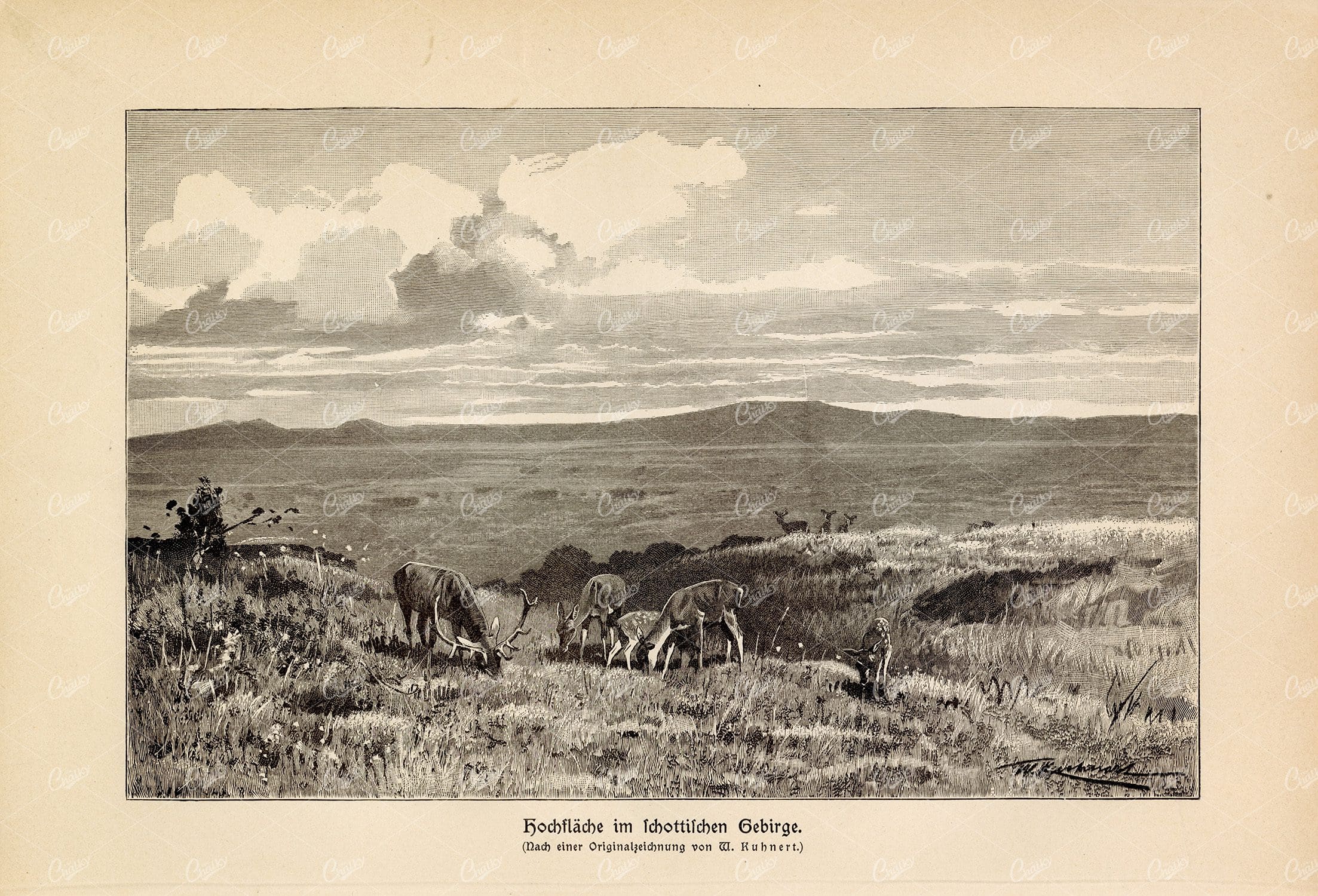 ANTIQUE Print 1877 - Mountain Plateau - Vintage German Print