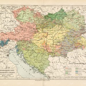 ANTIQUE Map 1877 - Ethnographic map of Austria-Hungary