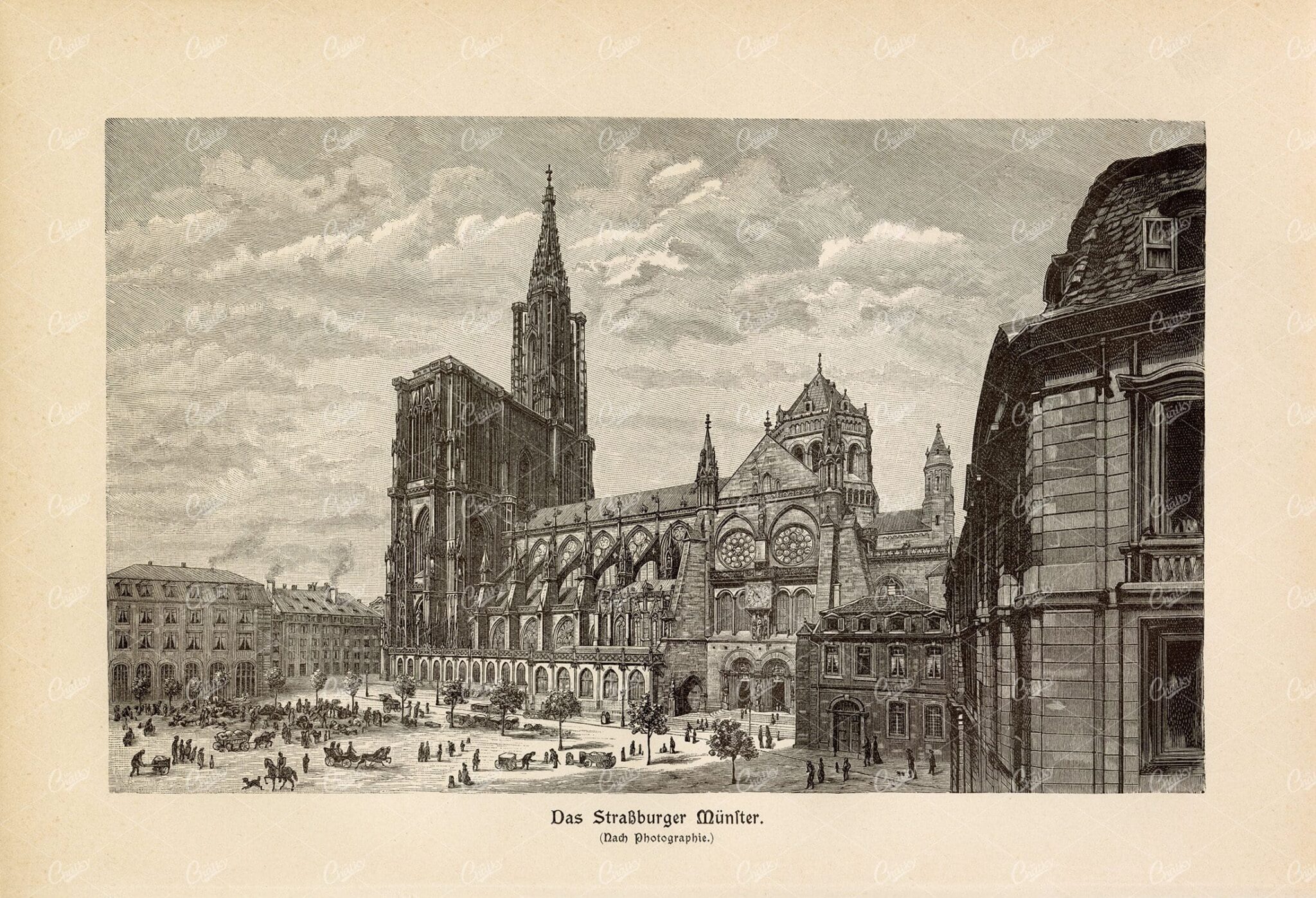 VINTAGE 1877 Print - The Strassburger Muenster