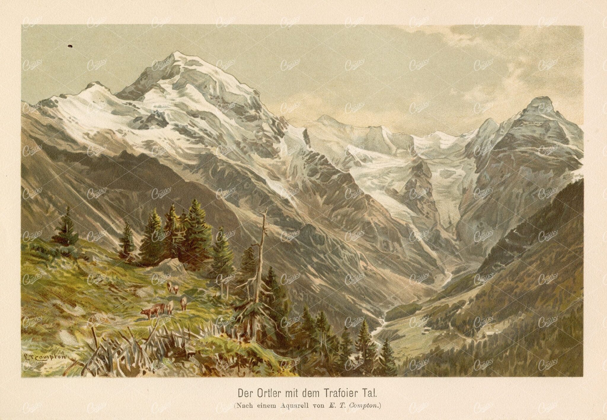 ANTIQUE Coloured Print - Ortler Mountain - Alps - Vintage 1800's
