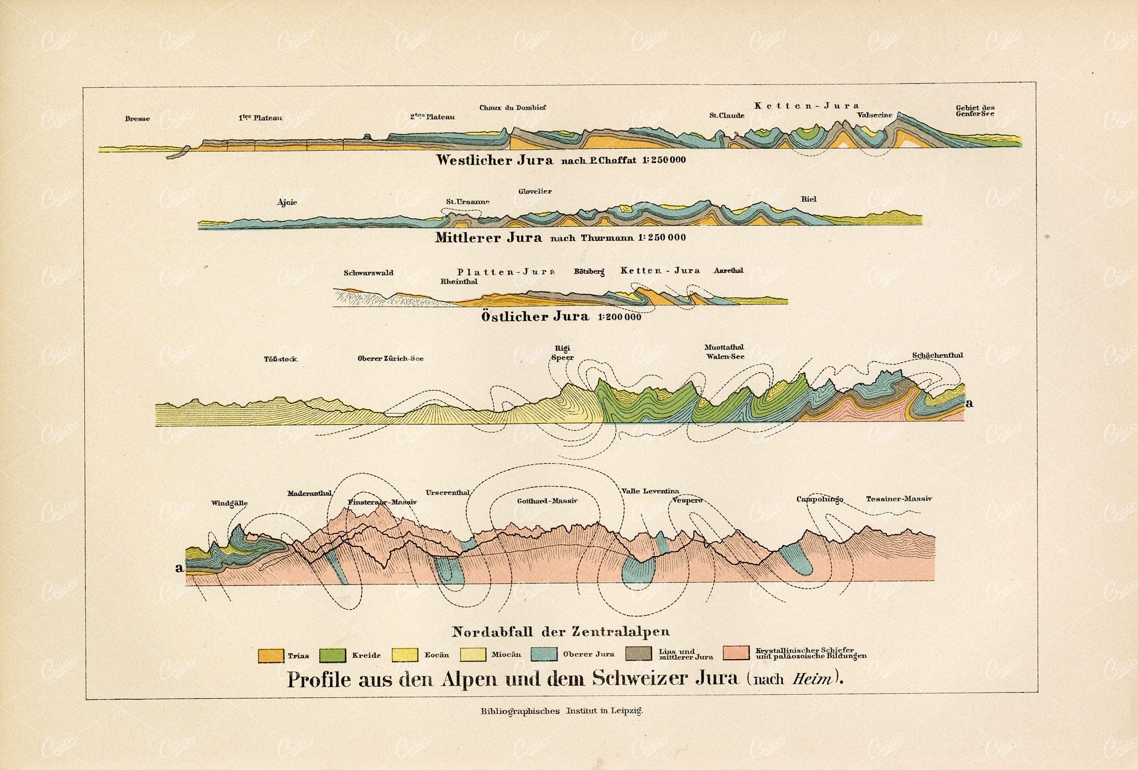 ANTIQUE Print of Profiles from the Alps and the Swiss Jura - 1800's