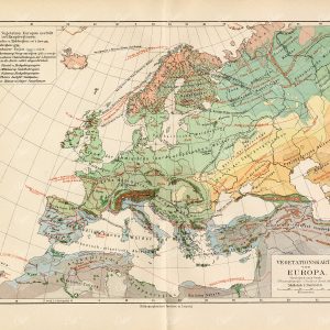 VINTAGE Vegetation Map of Europe - Antique German 1800's Print