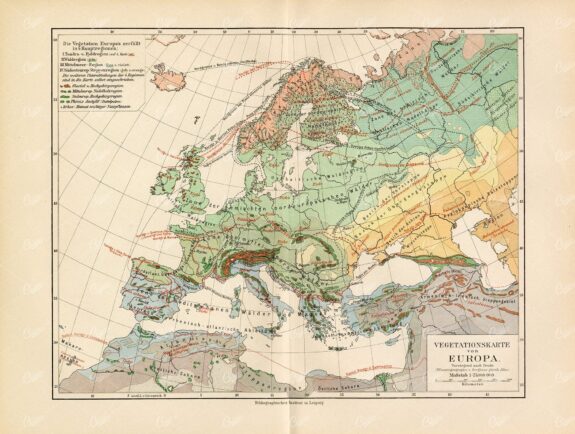 VINTAGE Vegetation Map of Europe - Antique German 1800's Print