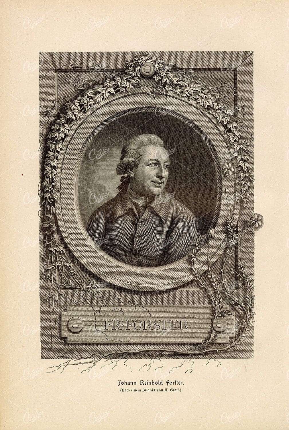 PORTRAIT of the Naturalist Johann Reinhold - Antique German Print