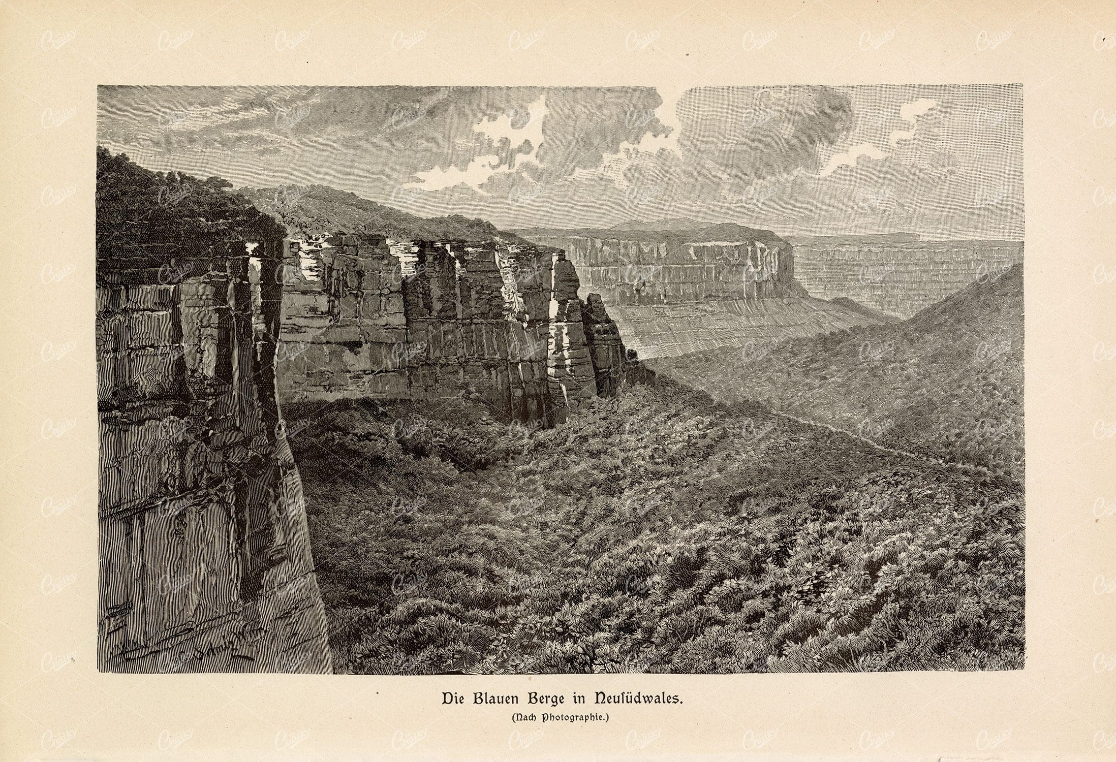 BLUE MOUNTAINS in New South Wales - Vintage Print