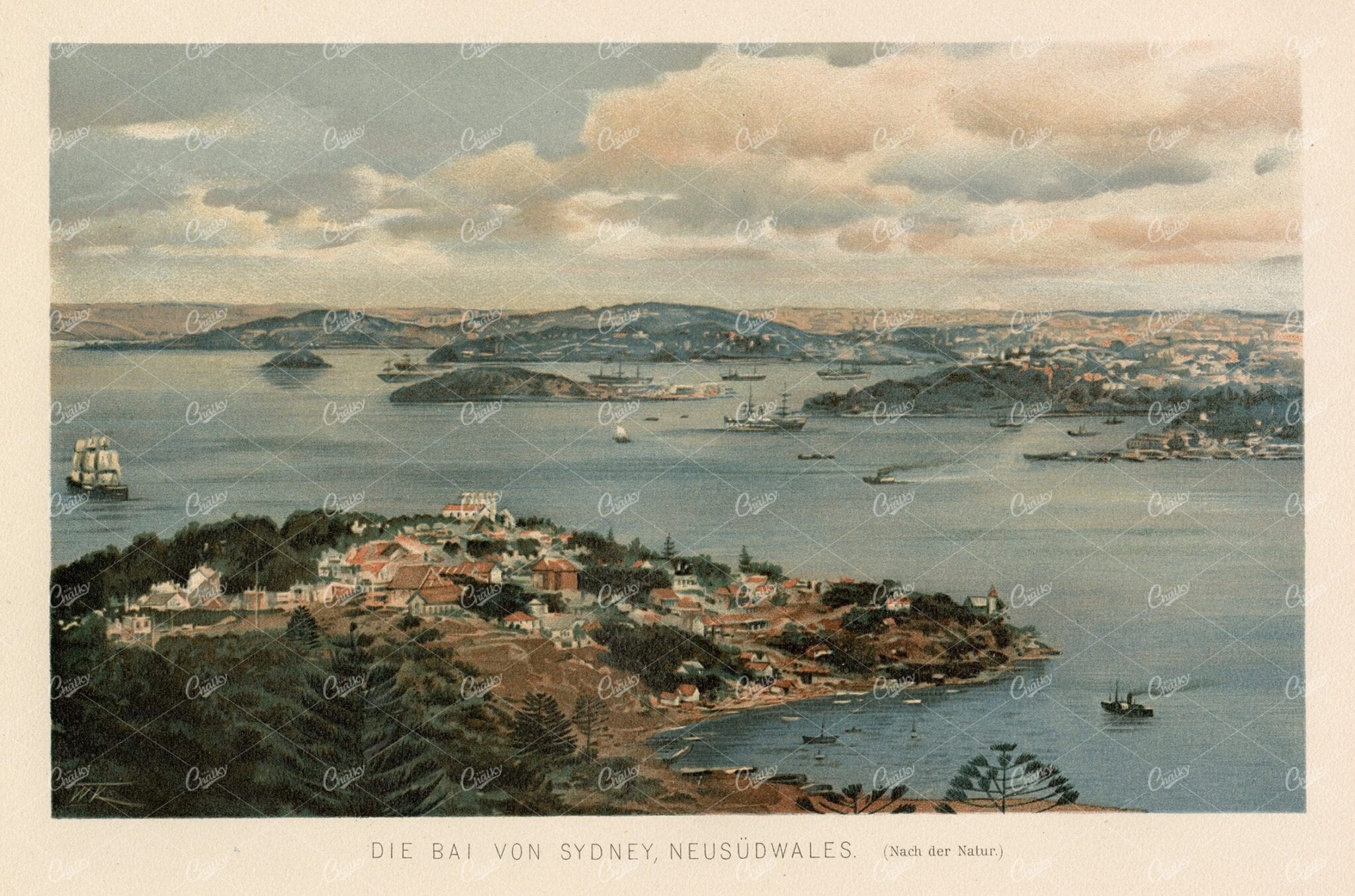 ANTIQUE Coloured Print - Sydney Bay, New South Wales