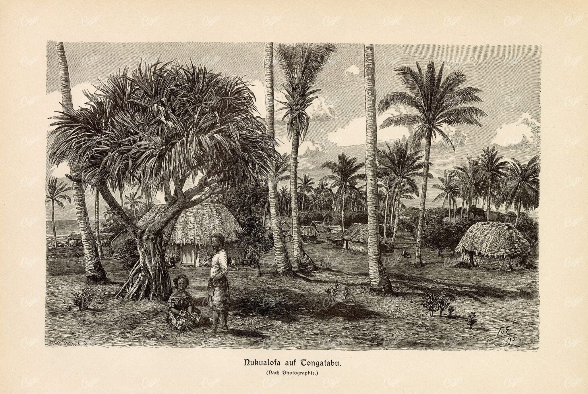 VINTAGE Print of Nuku'alofa, Tonga - Antique 1877