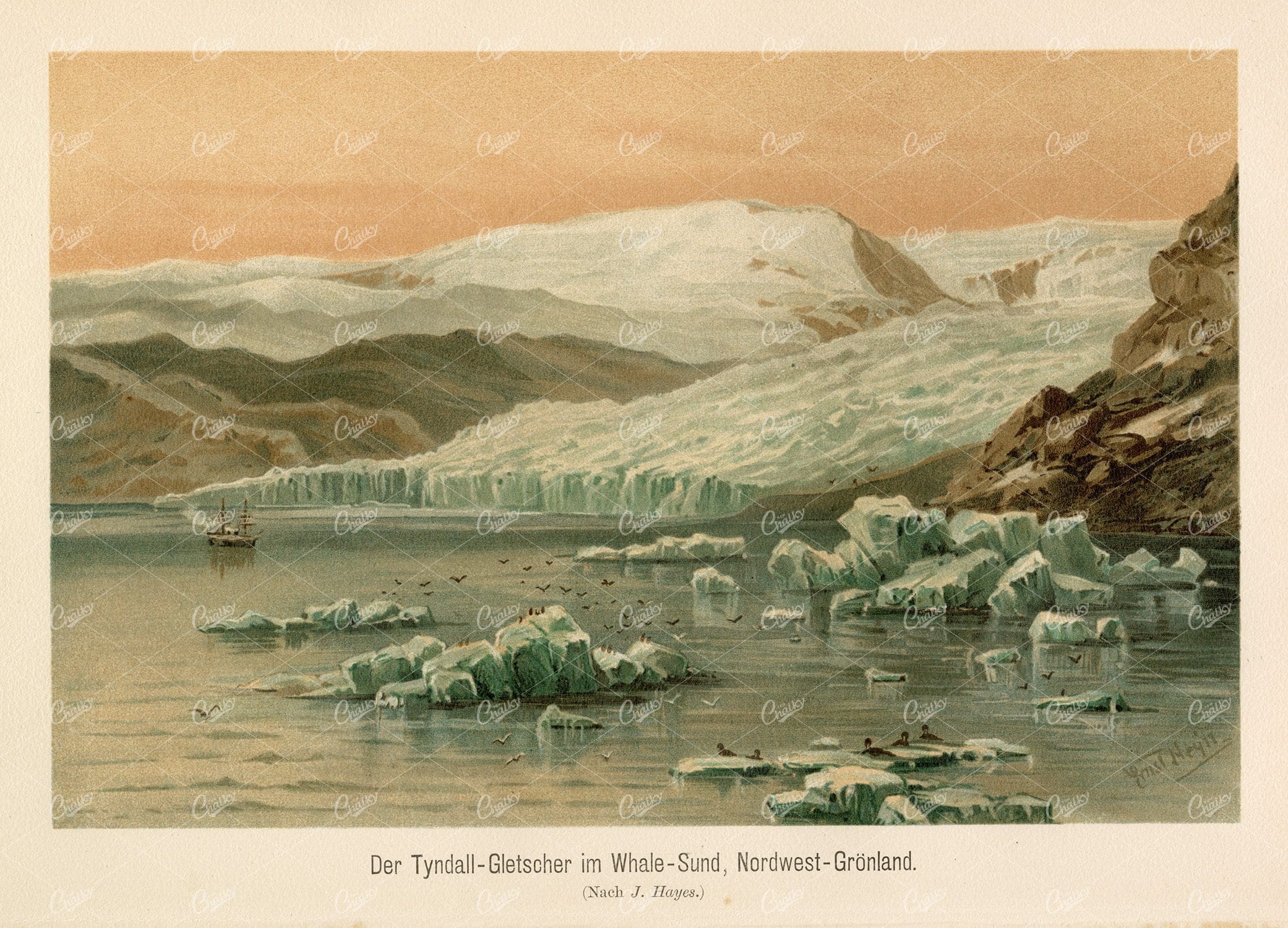 VINTAGE Colour Print of the Tyndall Glacier, Greenland - 1877