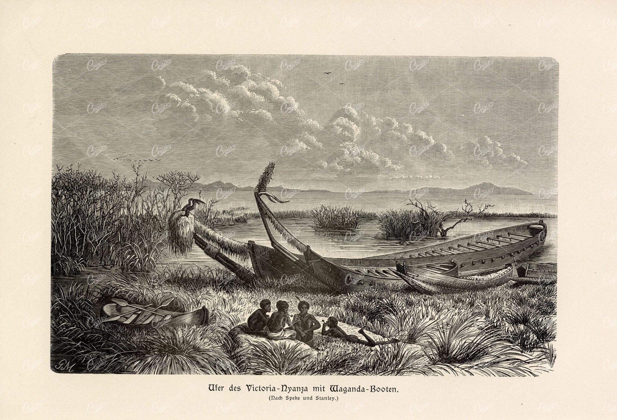 ANTIQUE 1877 Print - Bank of the Victoria River with Waganda Boats
