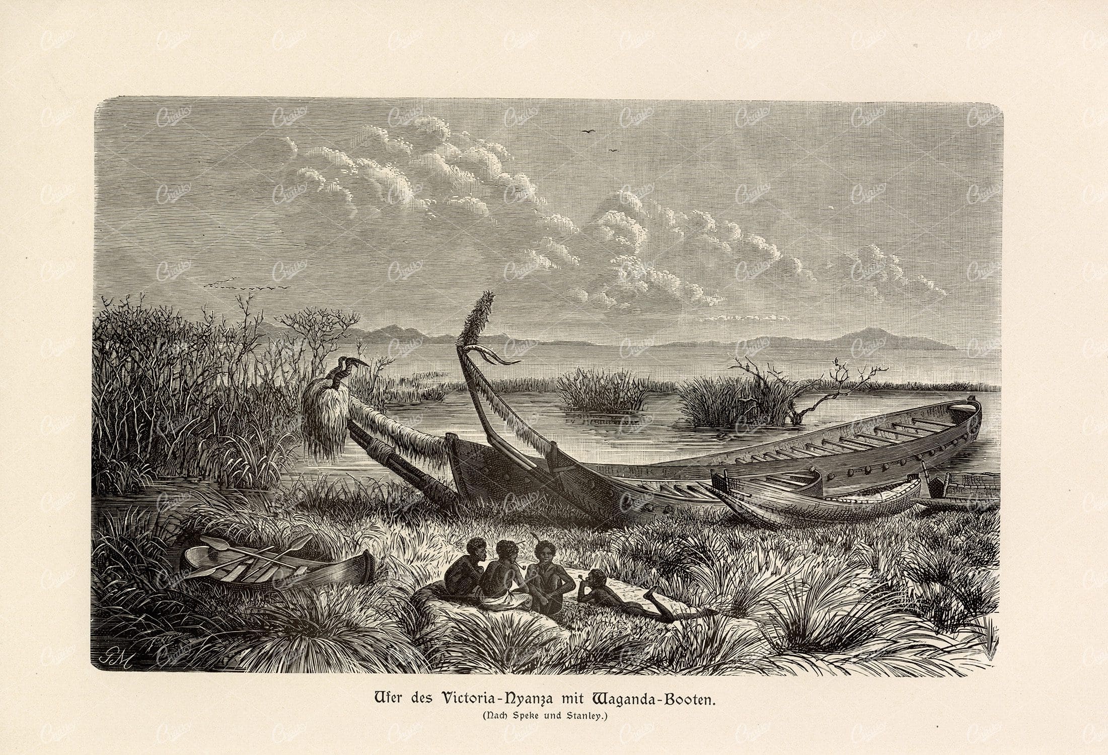 ANTIQUE 1877 Print - Bank of the Victoria River with Waganda Boats