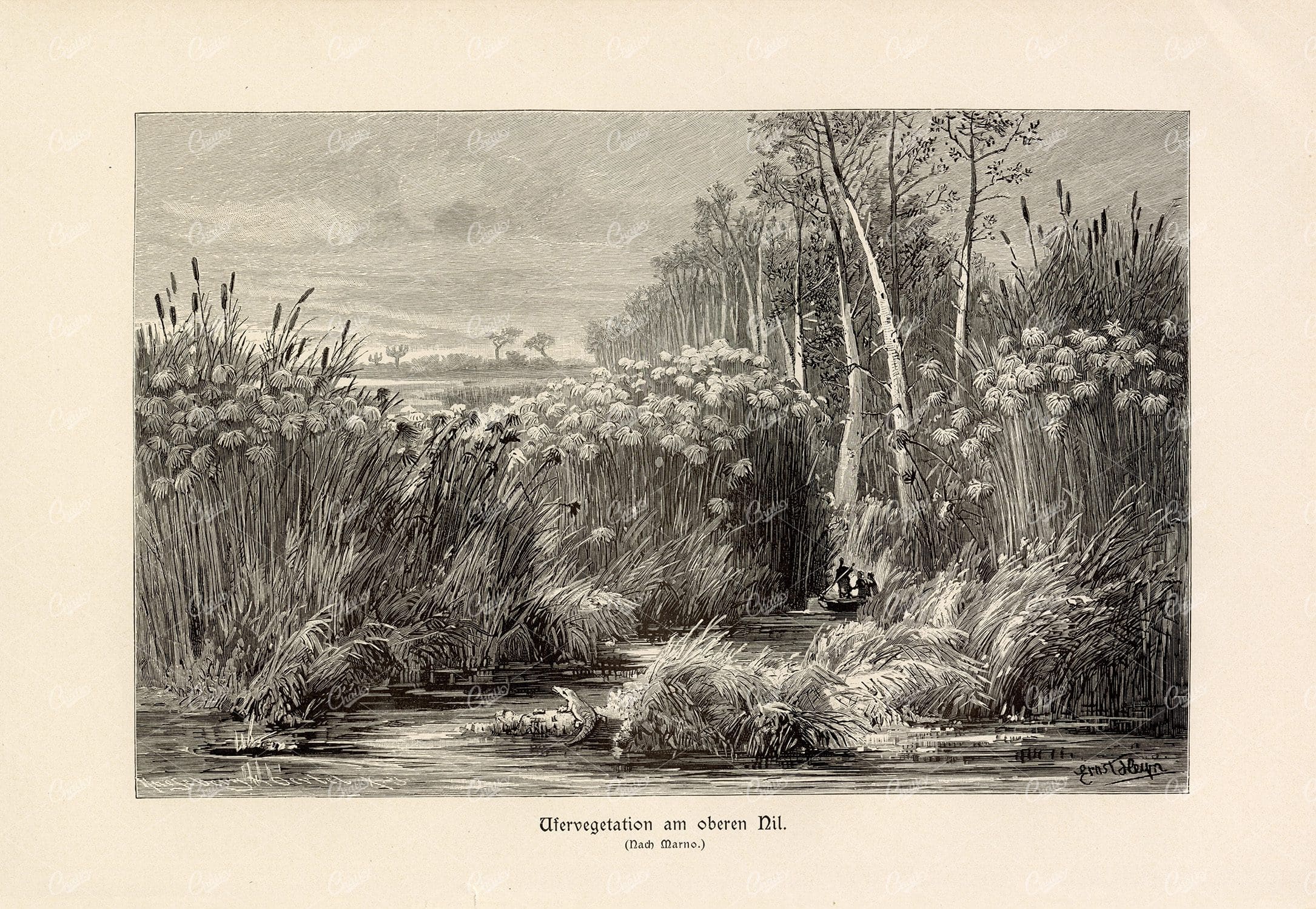 RIVER NILE - Vintage German Print 1877