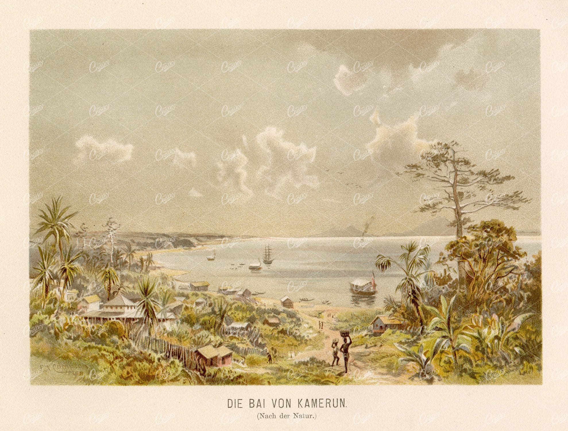 ANTIQUE Colour Print 1877 - The Bay Of Cameroon