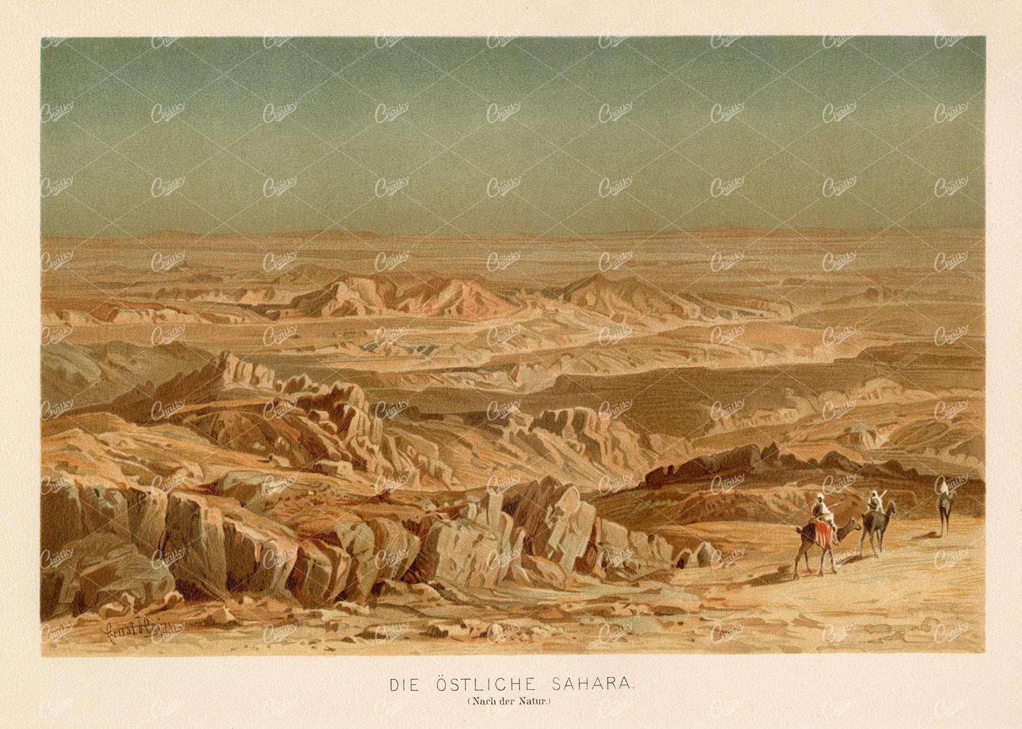 EASTERN SAHARA - Vintage Coloured Print 1877