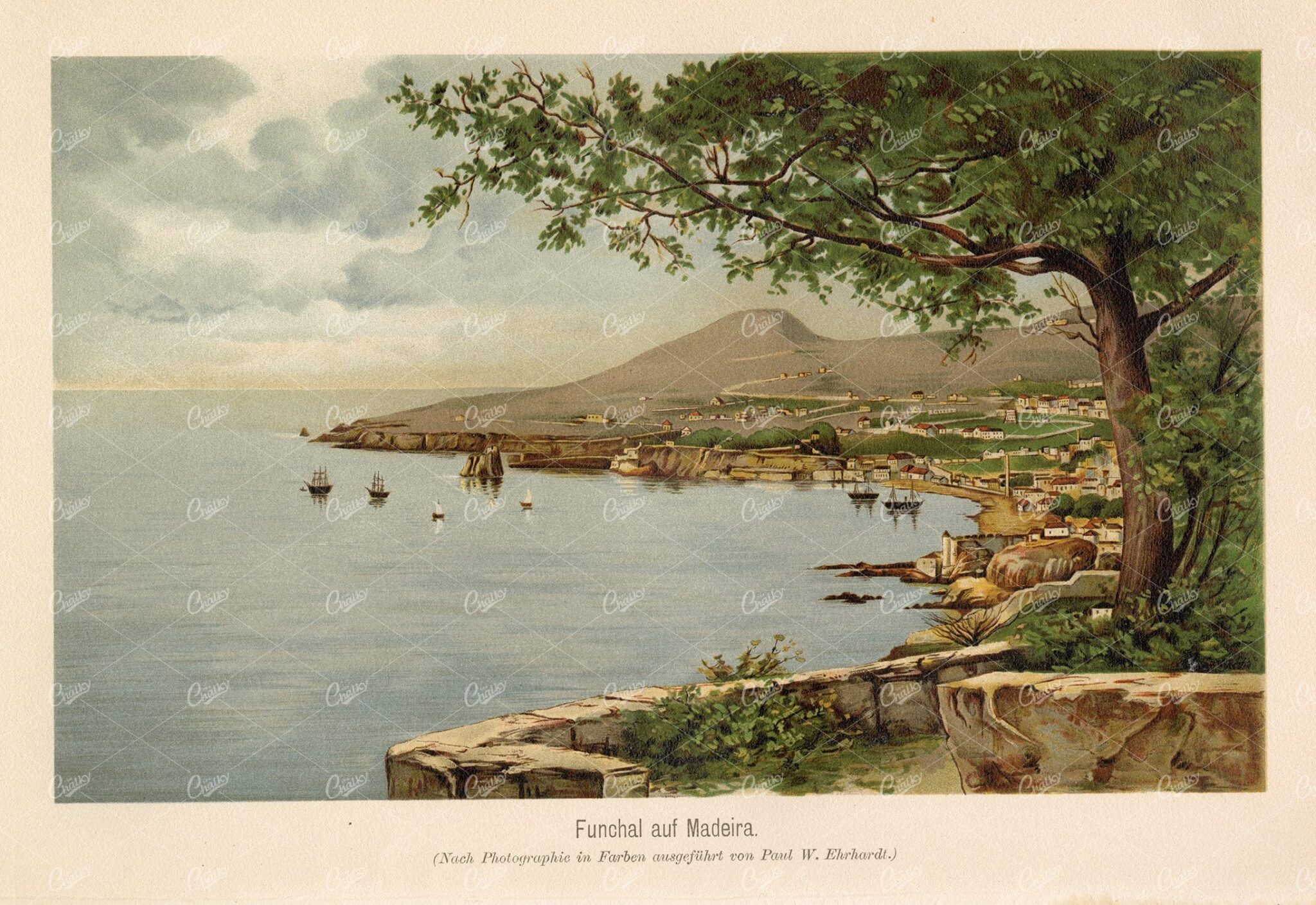 ANTIQUE 1877 Print - Funchal on Madeira - Portugal