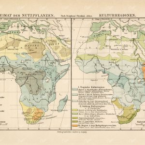 VINTAGE 1877 Map - Crop And Cultivated Regions in Africa