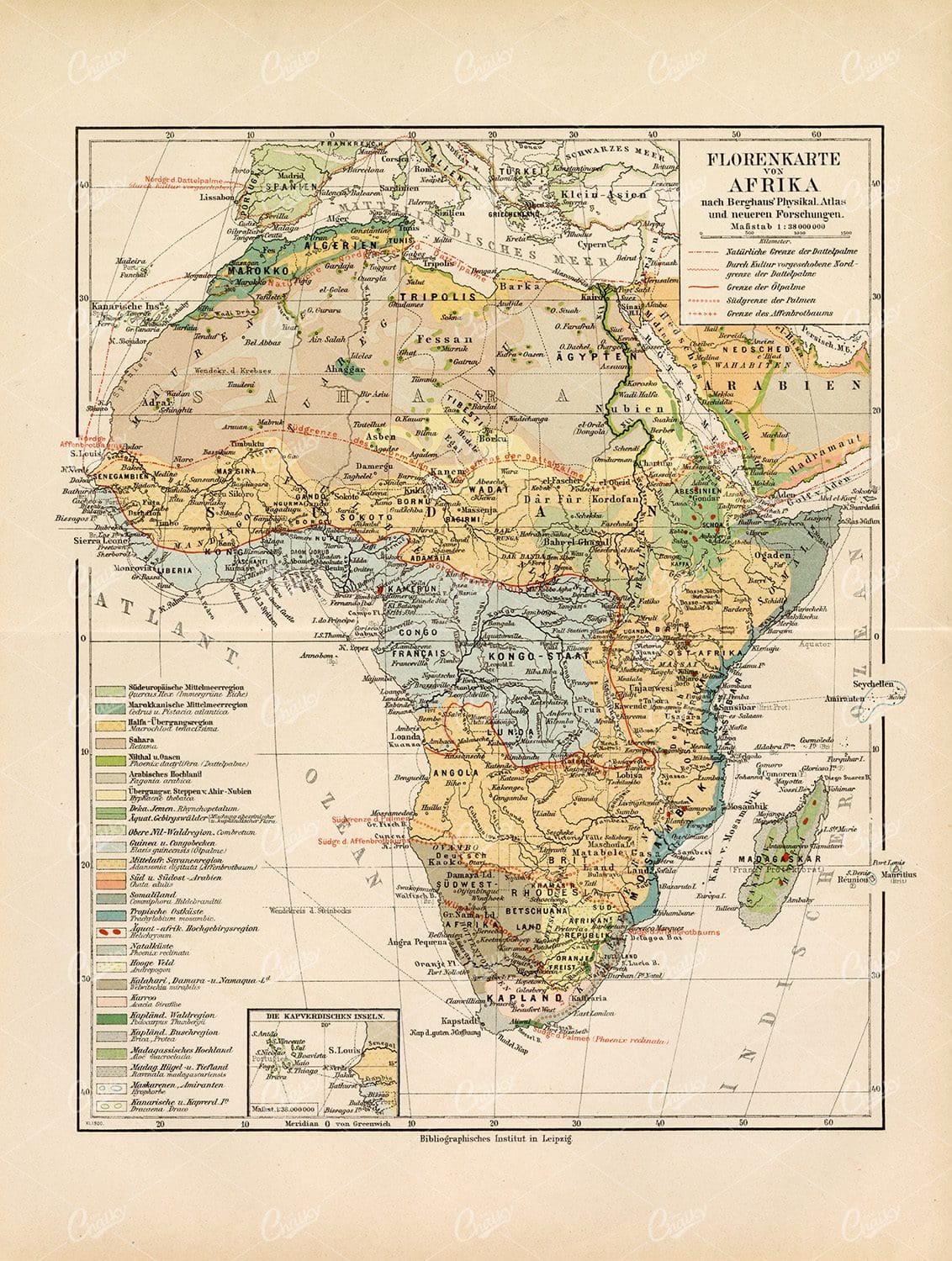 VINTAGE Map of Africa - Antique German Print 1877