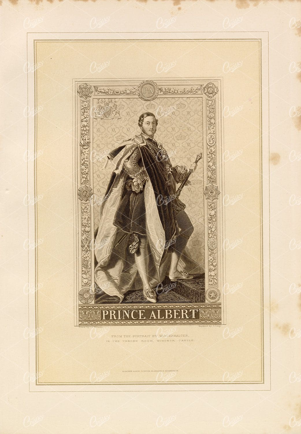 PRINCE ALBERT  - Vintage Engraving from the Portrait by Winterhalter