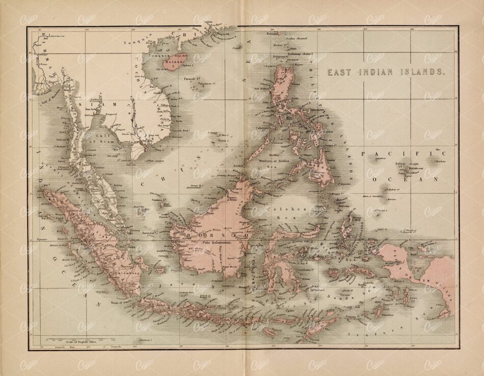 VINTAGE Map 1800's - East Indian Islands - History of England Vol III