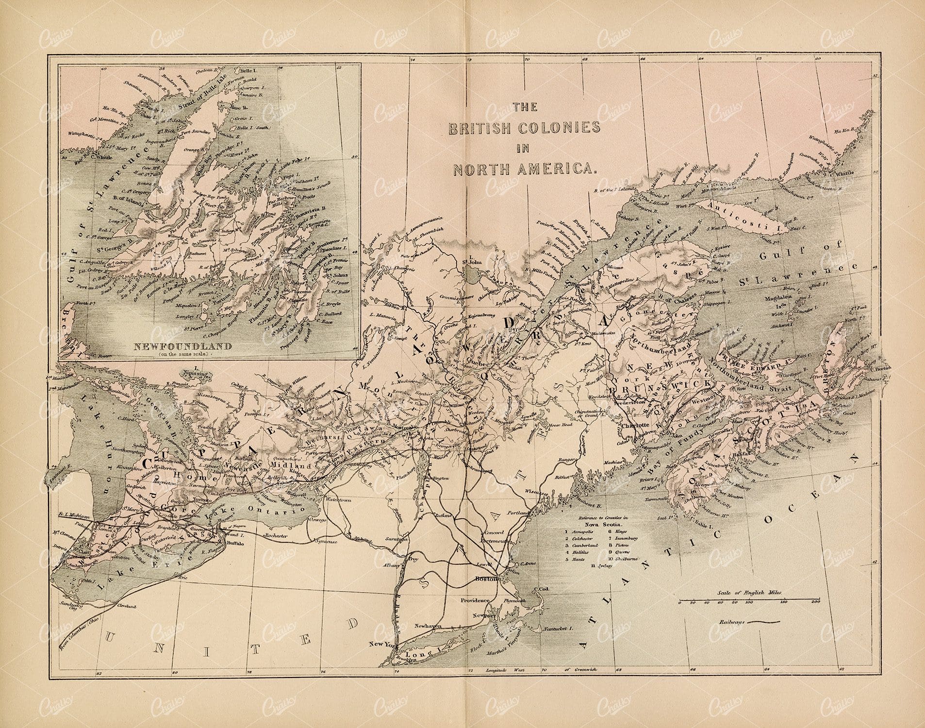 VINTAGE Map of The British Colonies in North America - 1800's