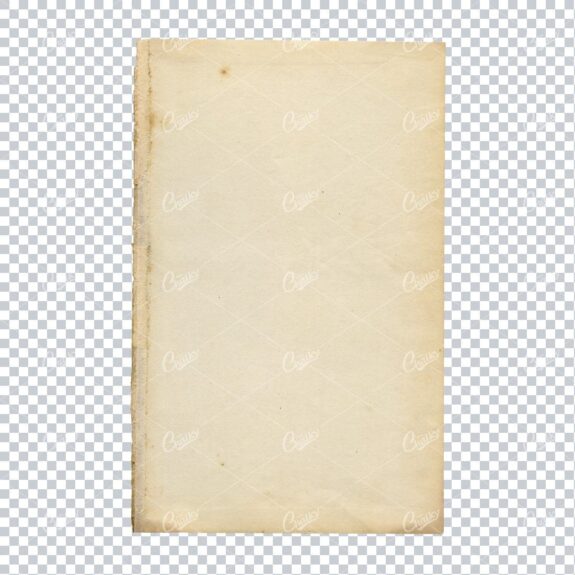 High Quality Antique Paper Texture Isolated from Background - No.1