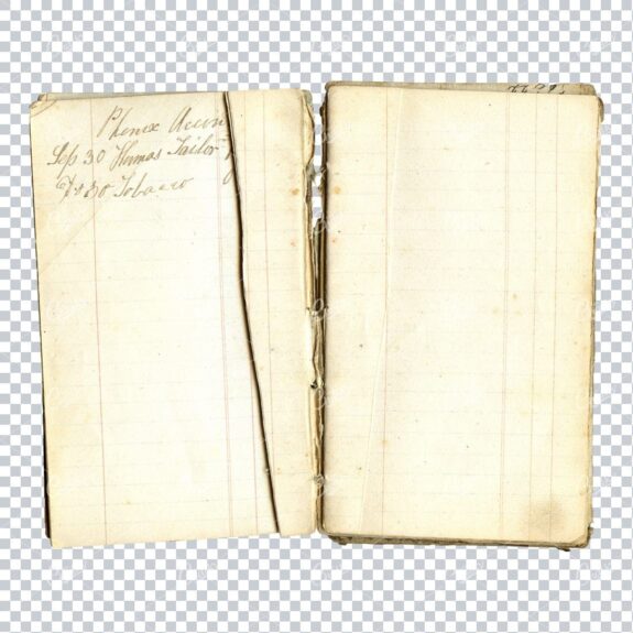 Aged with Beautiful Petina - Antique Handwritten Book Scan No.9