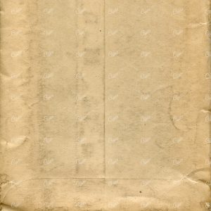 Antique Tan Paper Texture Scan No.1
