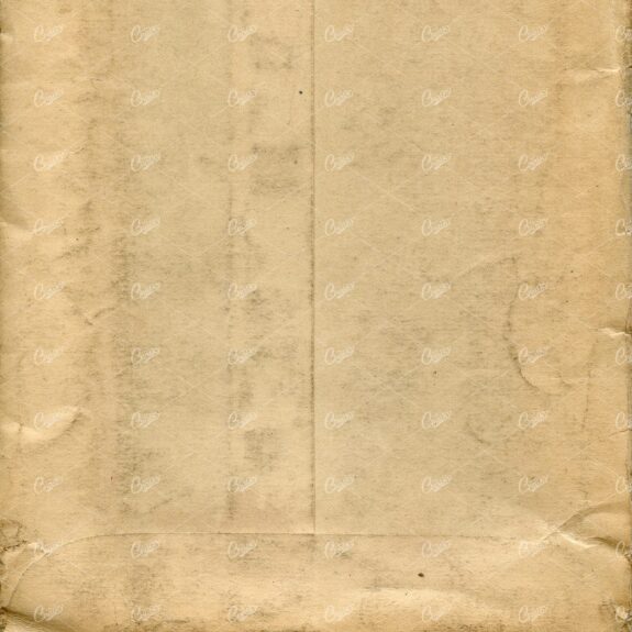 Antique Tan Paper Texture Scan No.1