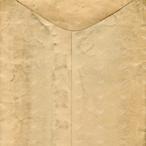 Antique Tan Paper Texture Scan No.2