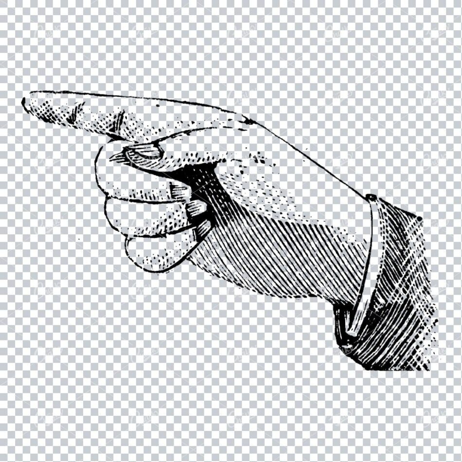 Vintage Line Art Illustration of a Pointing Finger / Hand No.8