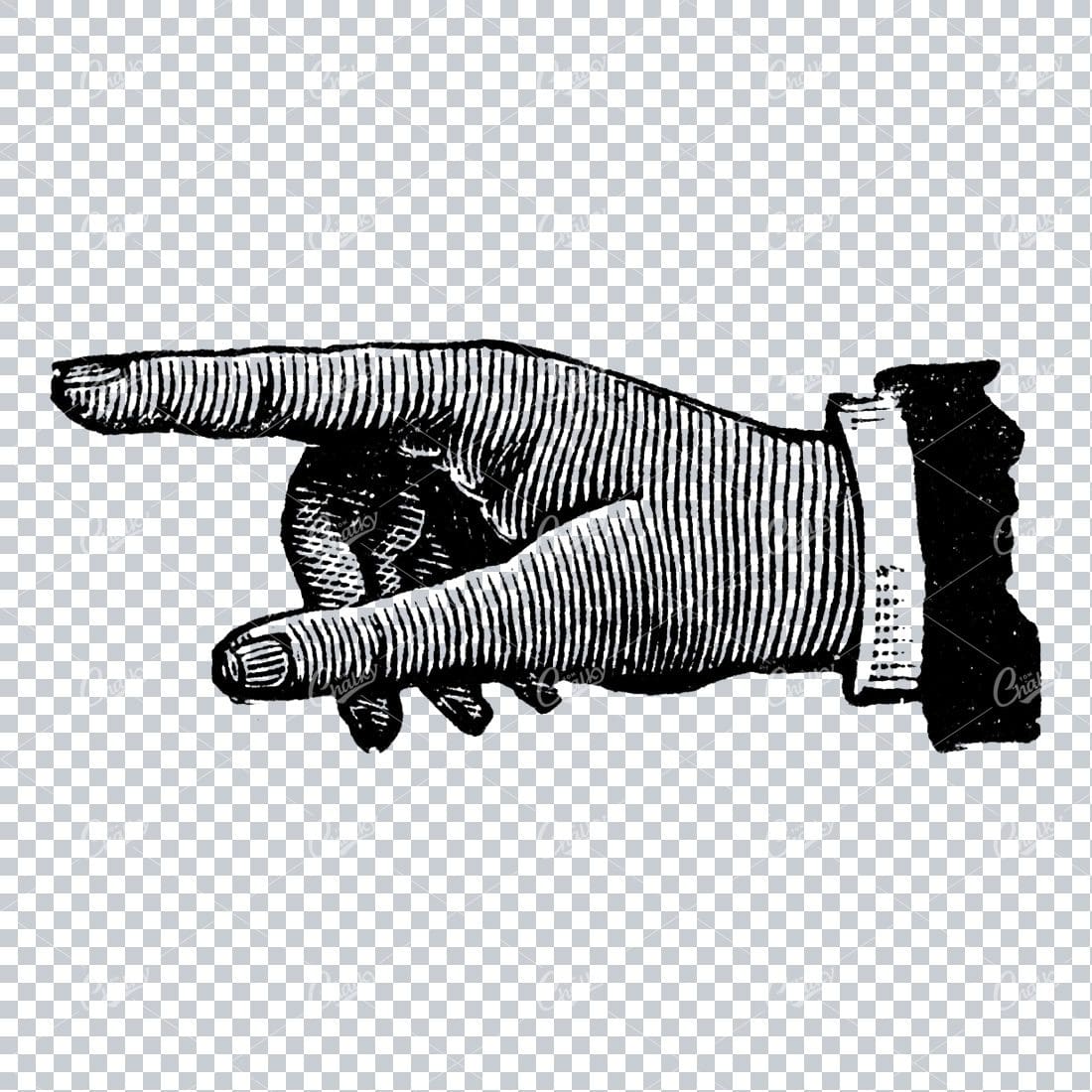 Vintage Line Art Illustration of a Pointing Finger / Hand No.10