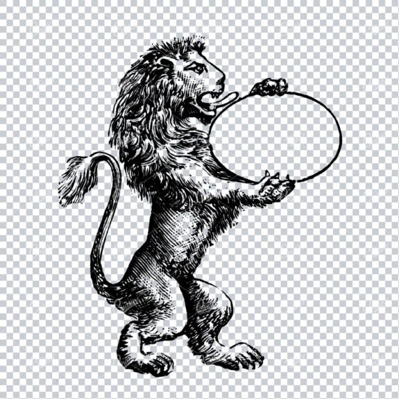Antique Lion Line Art Drawing Holding an Oval Badge / Frame