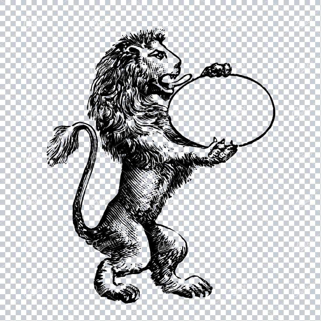 Antique Lion Line Art Drawing Holding an Oval Badge / Frame