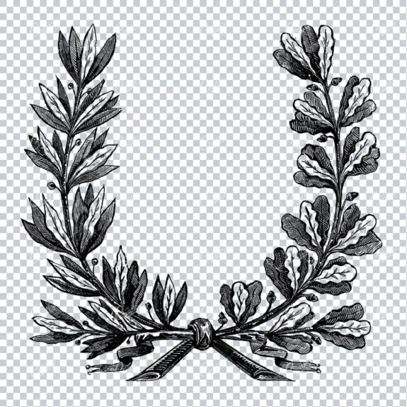 Hand Drawn Antique Wreath Line Art Illustration No.2