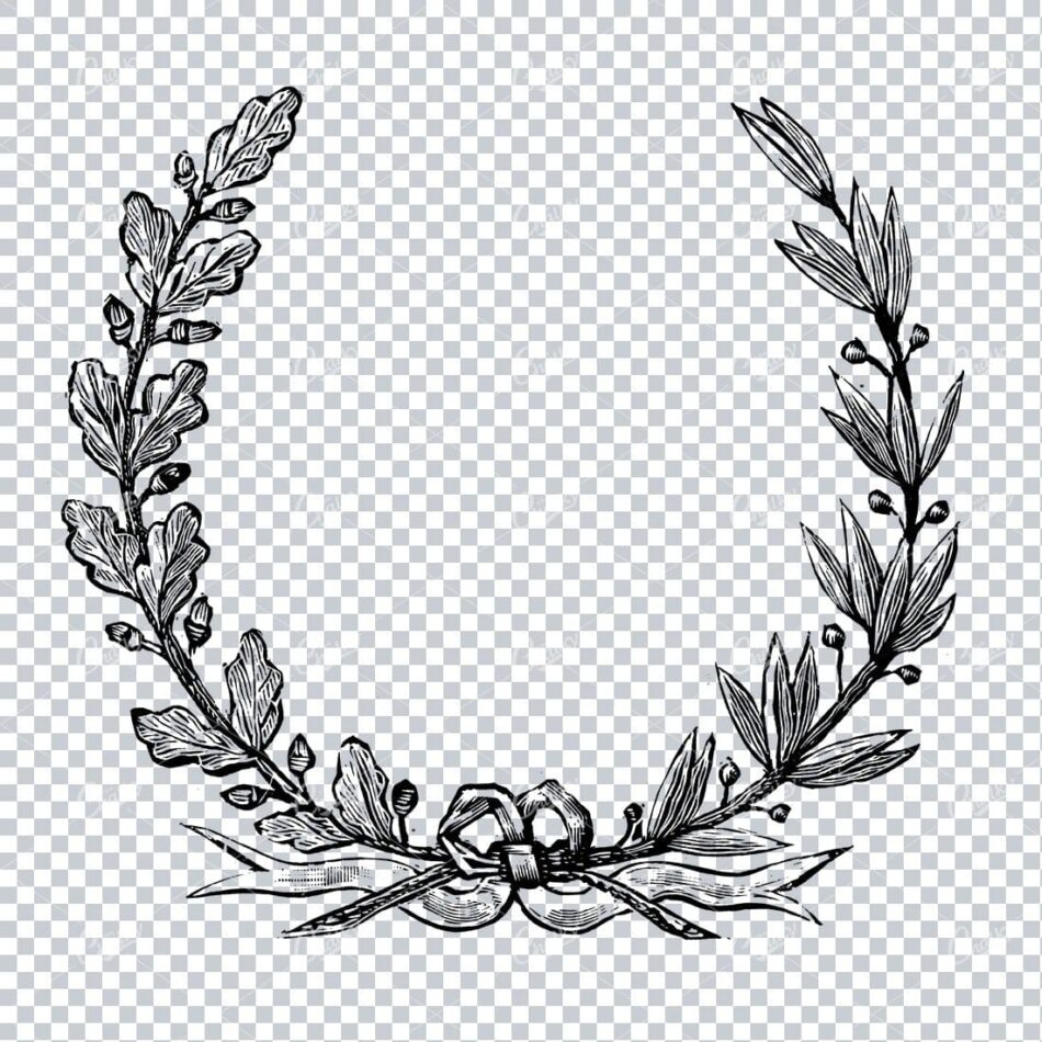 Hand Drawn Antique Wreath Line Art Illustration No.6