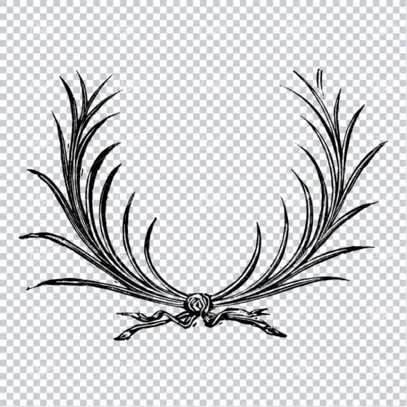 Hand Drawn Antique Wreath Line Art Illustration No.8