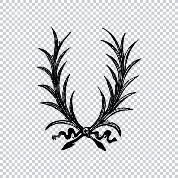 Hand Drawn Antique Wreath Line Art Illustration No.14