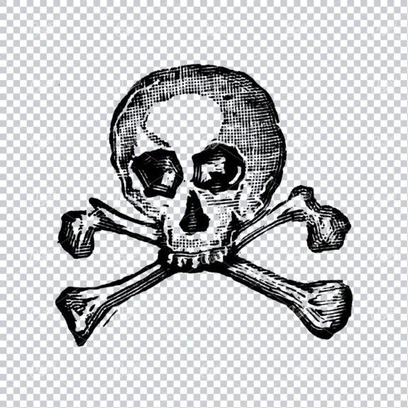 Human Skull with Cross Bones No.2