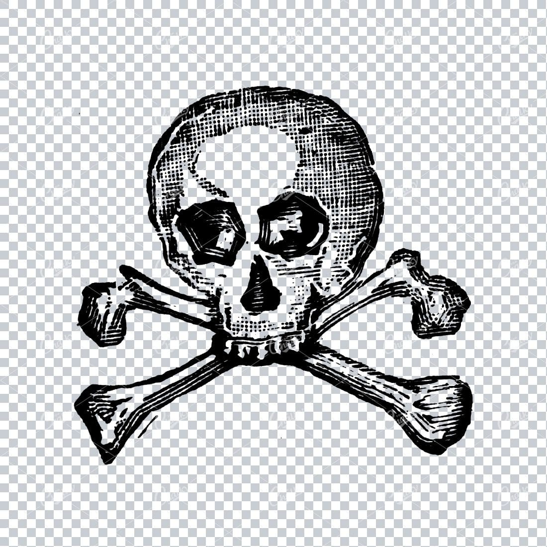 Human Skull with Cross Bones No.2