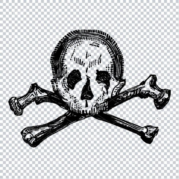 Human Skull with Cross Bones No.3