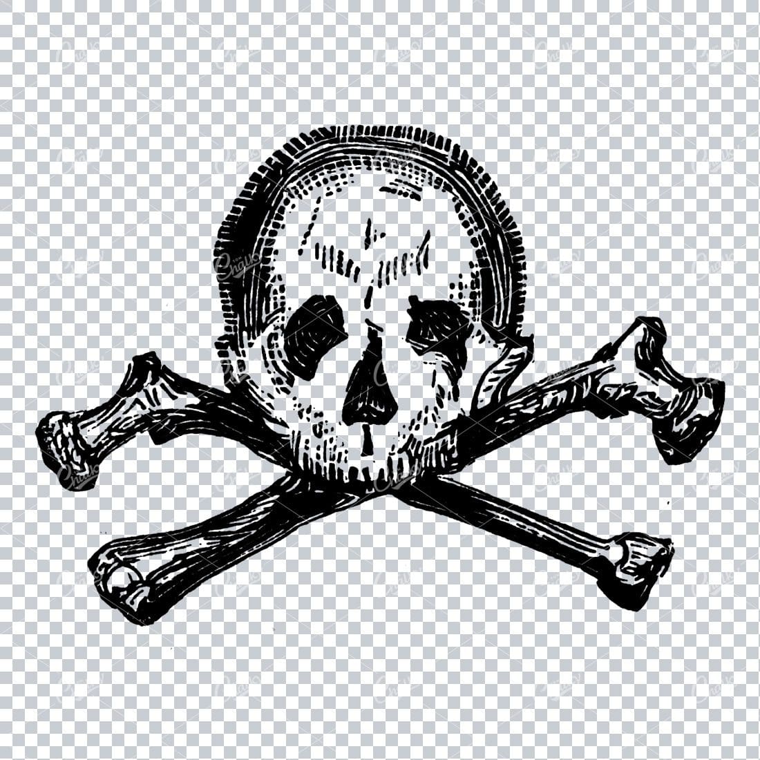 Human Skull with Cross Bones No.3