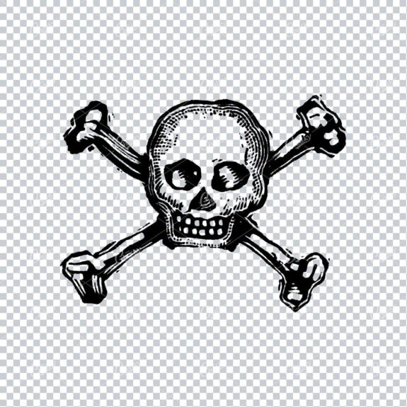 Human Skull with Cross Bones No.4