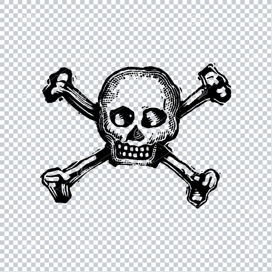 Human Skull with Cross Bones No.4