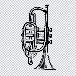 Antique Musical Instrument Line Art Illustration - Trumpet
