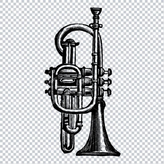 Antique Musical Instrument Line Art Illustration - Trumpet